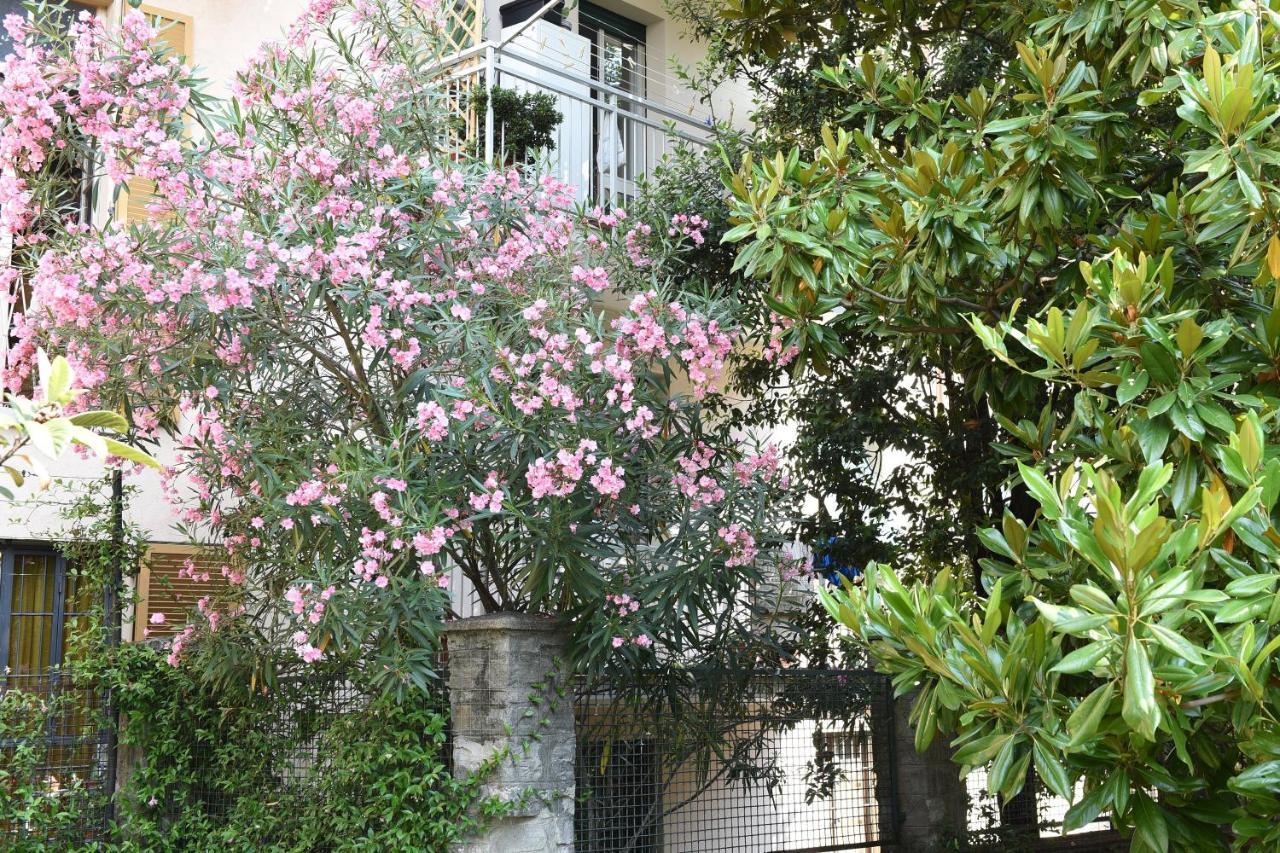 Le Rondinelle Apartman Como Kültér fotó